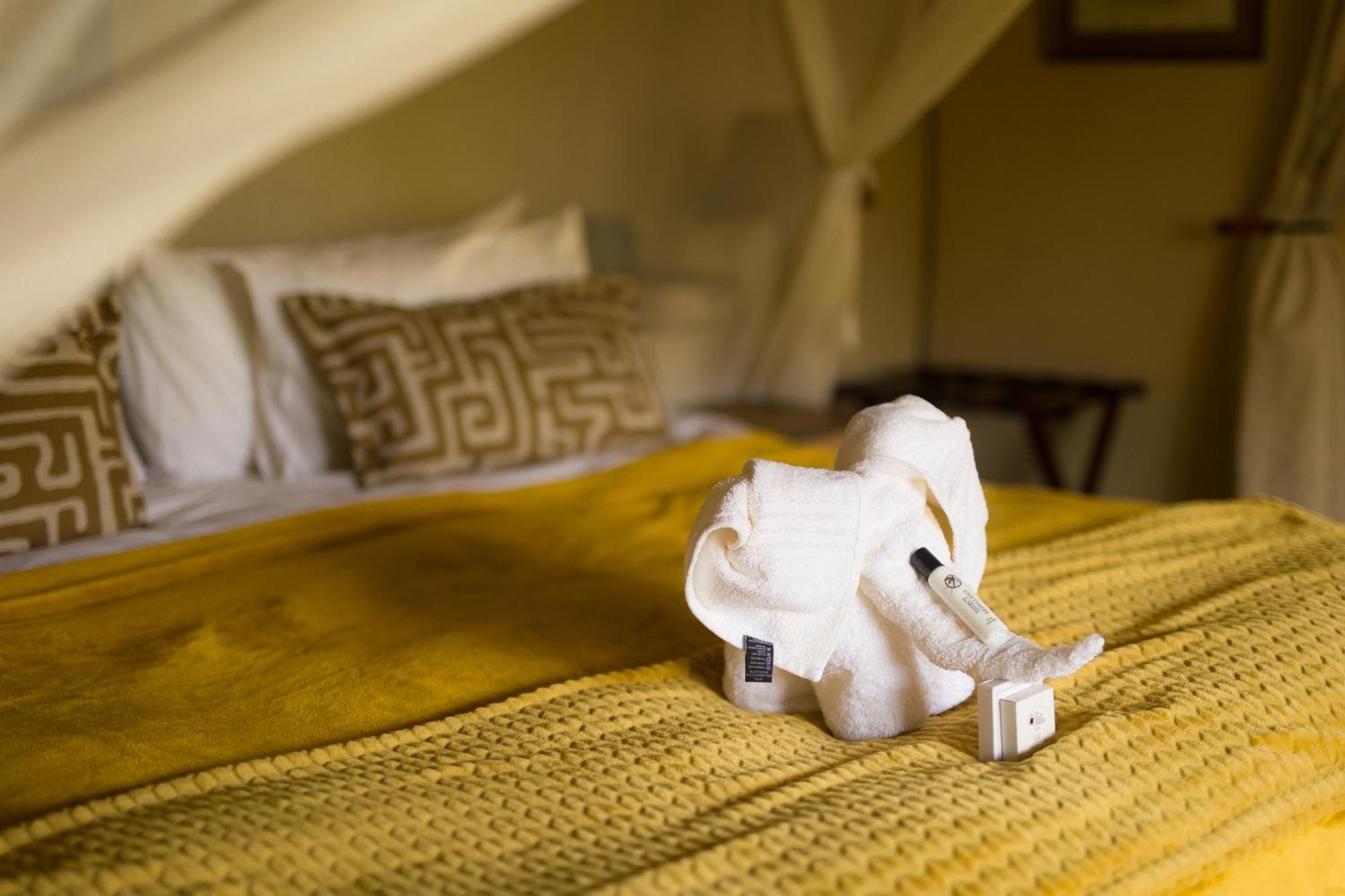 Kololo Game Reserve Vaalwater Room photo