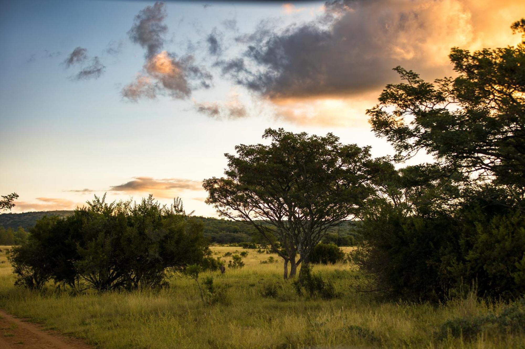 Kololo Game Reserve Vaalwater Exterior photo